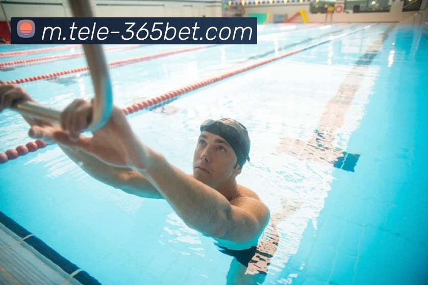 App Interface Preview